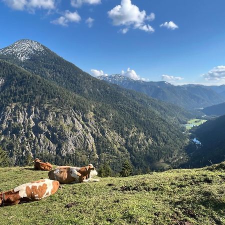 Landhaus Renata - Wendelstein Bayrischzell Zewnętrze zdjęcie